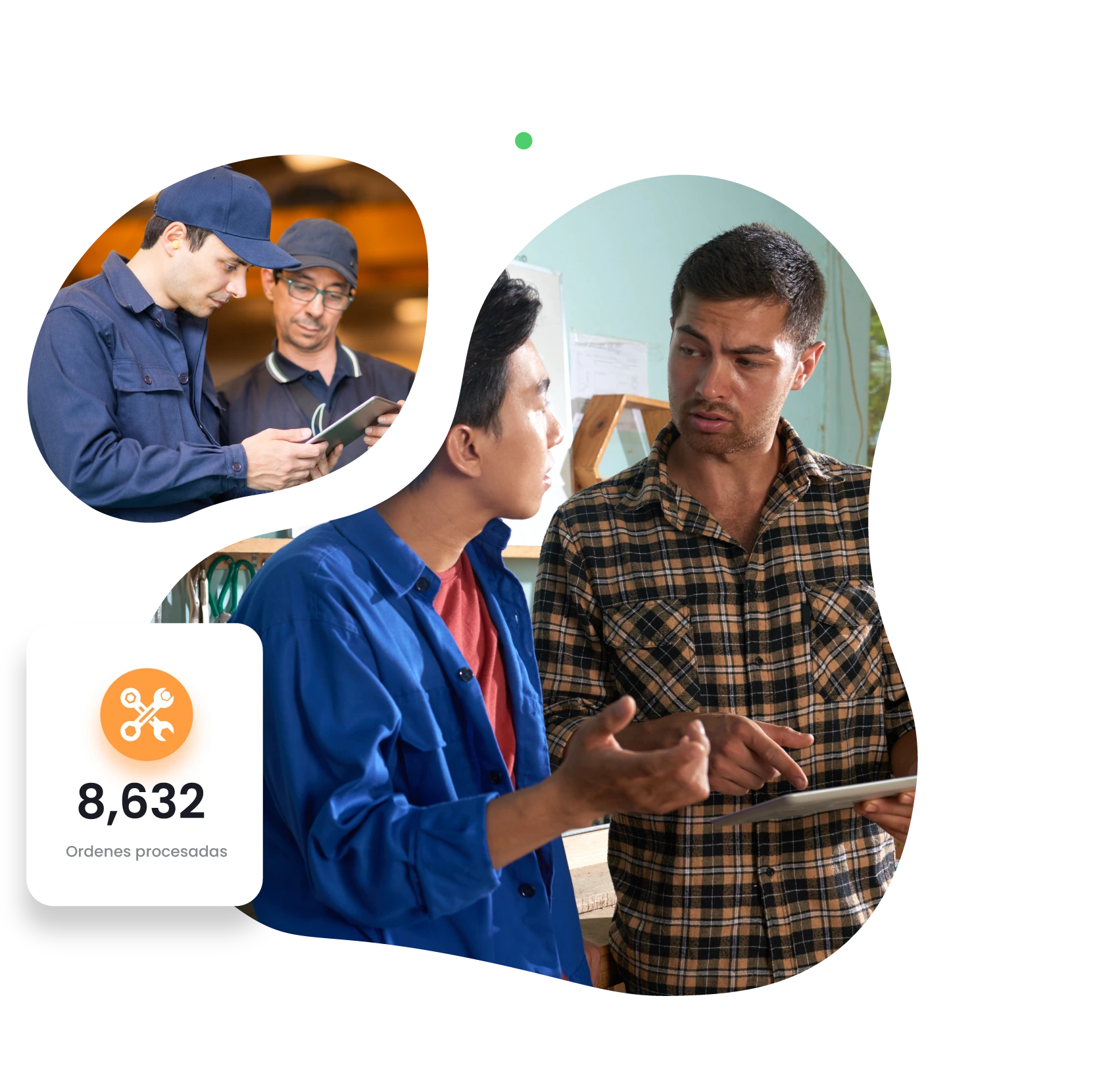 NOA – Características – Ordenes